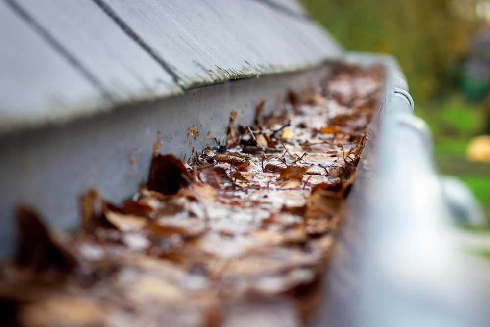 gutter guards in Madison